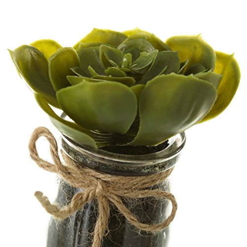 Pack 4 Cactus Artificial en Maceta de Cristal