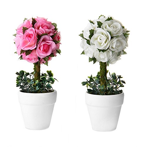 Pack 2 Plantas rosas 2/c poliester 20 cm en maceta de terracota.