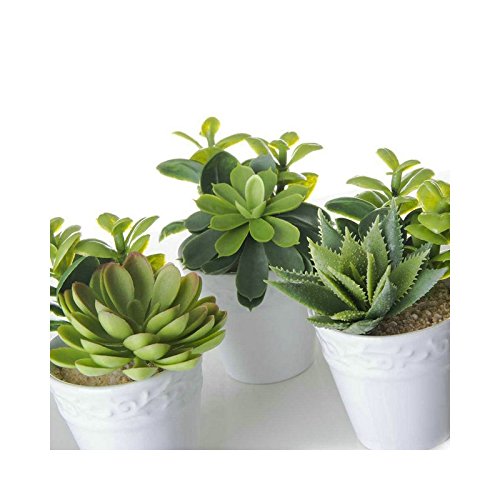 Pack 6 Cactus Artificial plástico 11 cm Maceta de Porcelana.