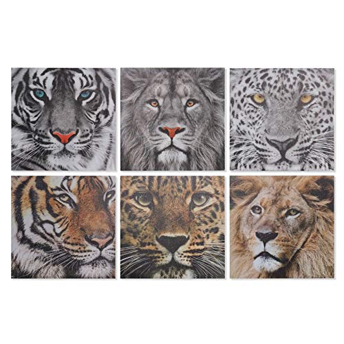 Set 6 Cuadro Lienzo felino 40x40 cm