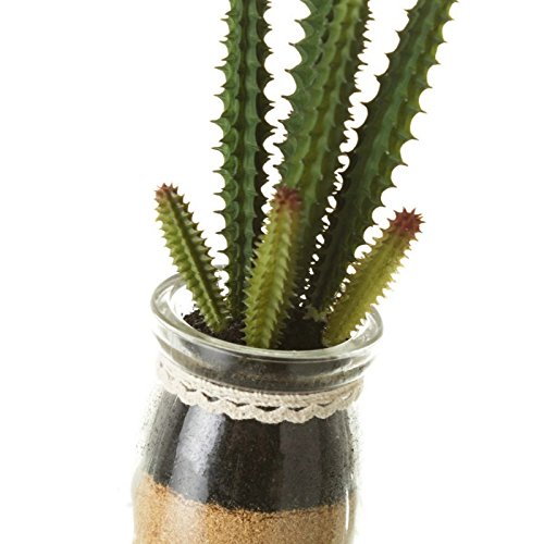 Pack 4 Cactus Artificial en Maceta de Cristal