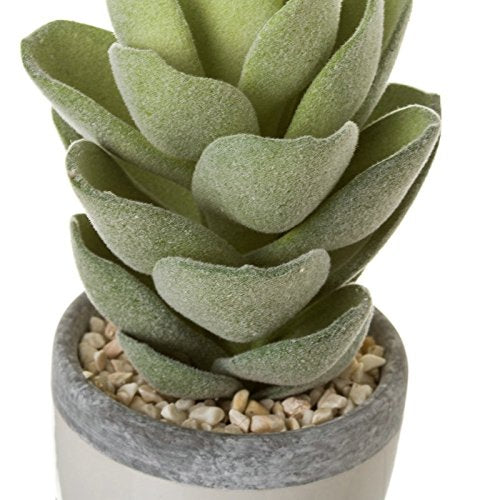 Pack 3 Cactus Artificial en Maceta Porcelana