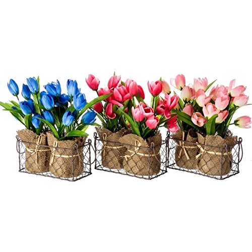 Pack 3 Plantas tulipán 3/c poliester 18 x 9 x 26 cm rosa, azul y rosa claro.