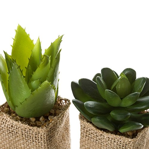 Cactus artificial en maceta en tela de saco