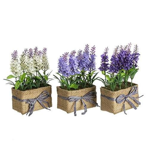 Set 3 Planta Lavanda Poliester con Tela Saco