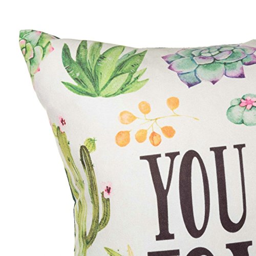 Cojín Cactus 100% poliéster para salón Iris