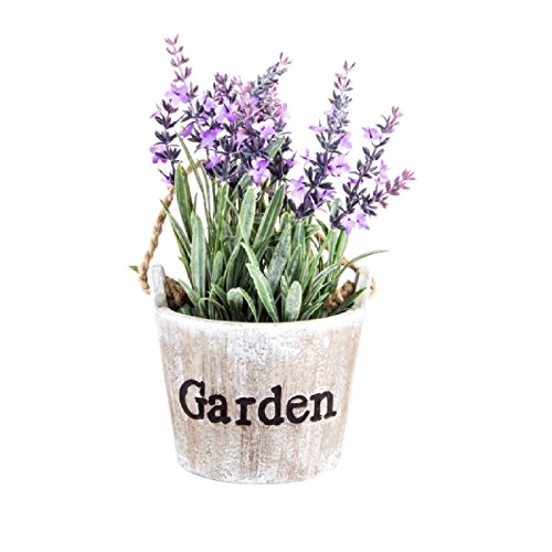 Maceta Lavanda Fibra con asa de Cuerda