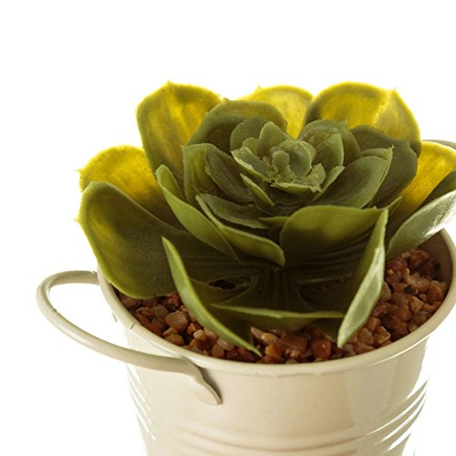 Pack 2 cactus artificial plástico en maceta de metal