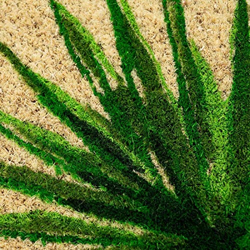 Felpudo Welcome Tropical Verde Exotico Fibra Coco Base PVC 60x40 cm