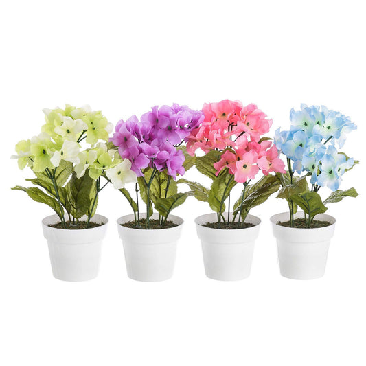 Pack 4 Planta Hortensia Decorada en Maceta 27 cm.