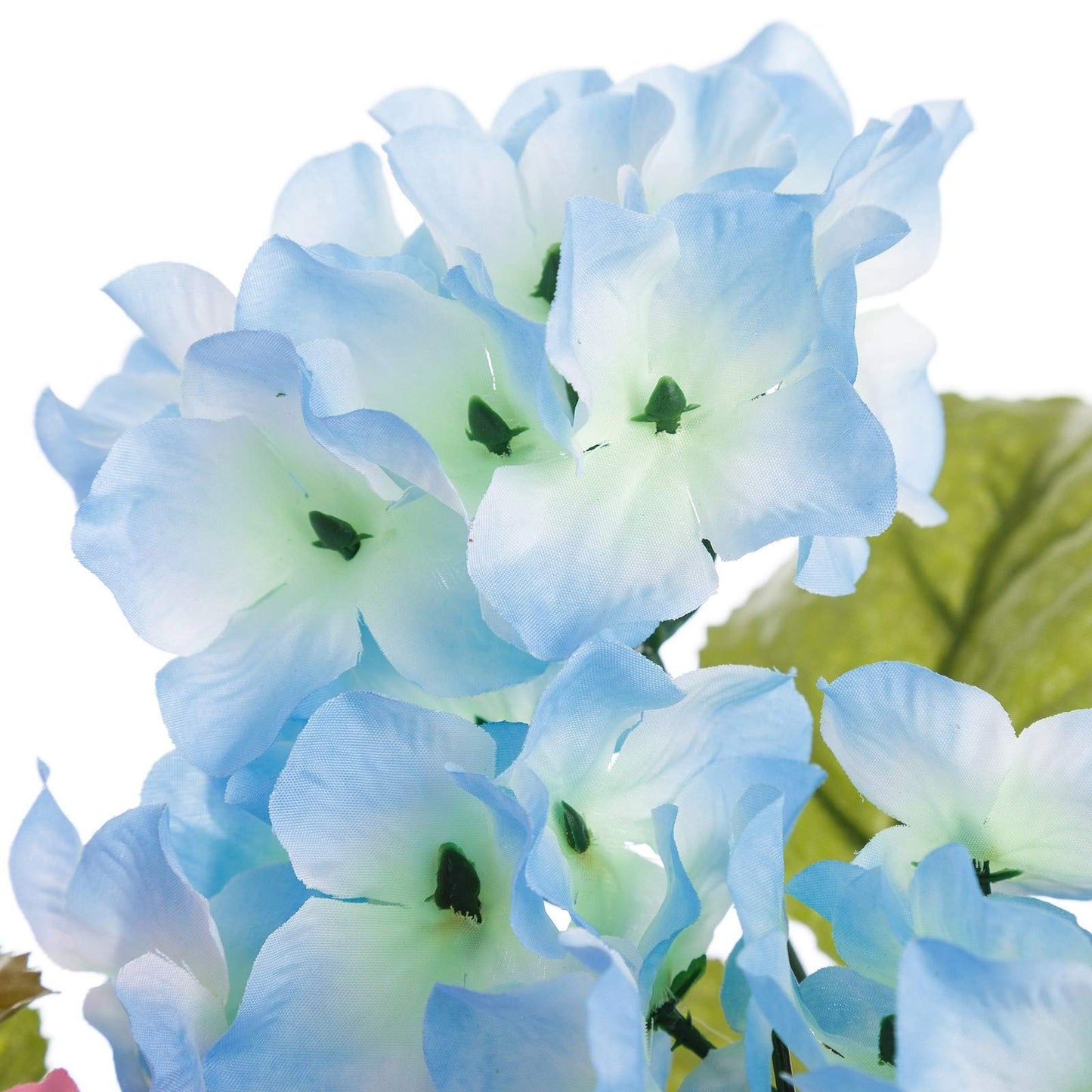 Pack 4 Planta Hortensia Decorada en Maceta 27 cm.