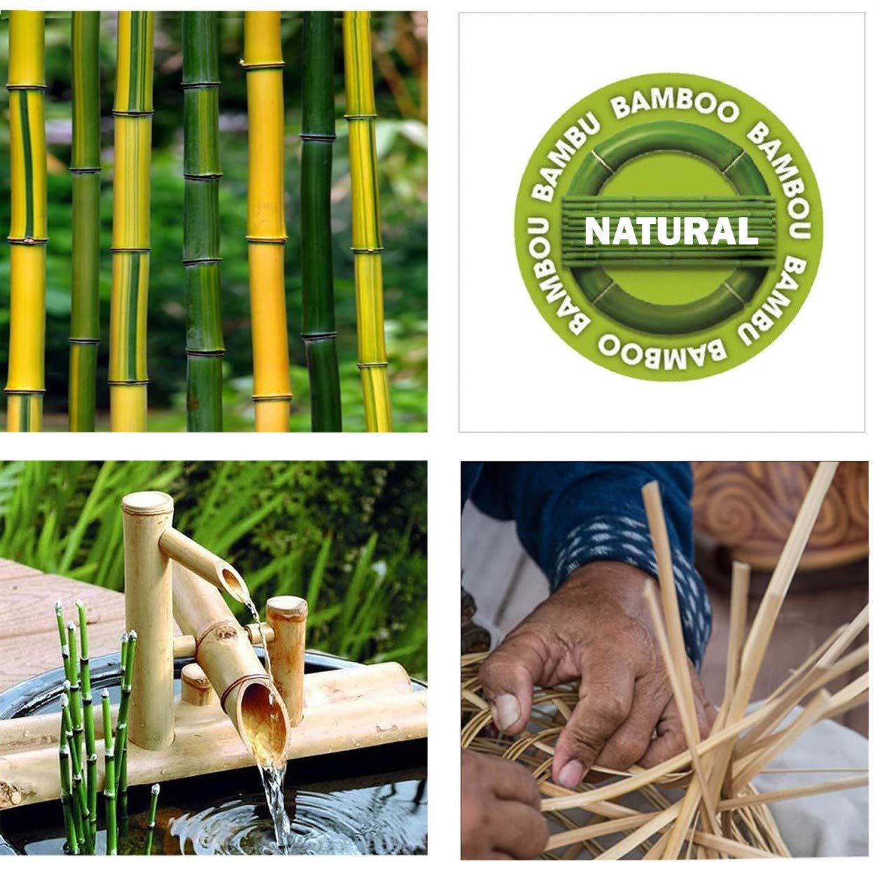 Especiero bambú con 12 botes (23.5x15x15)