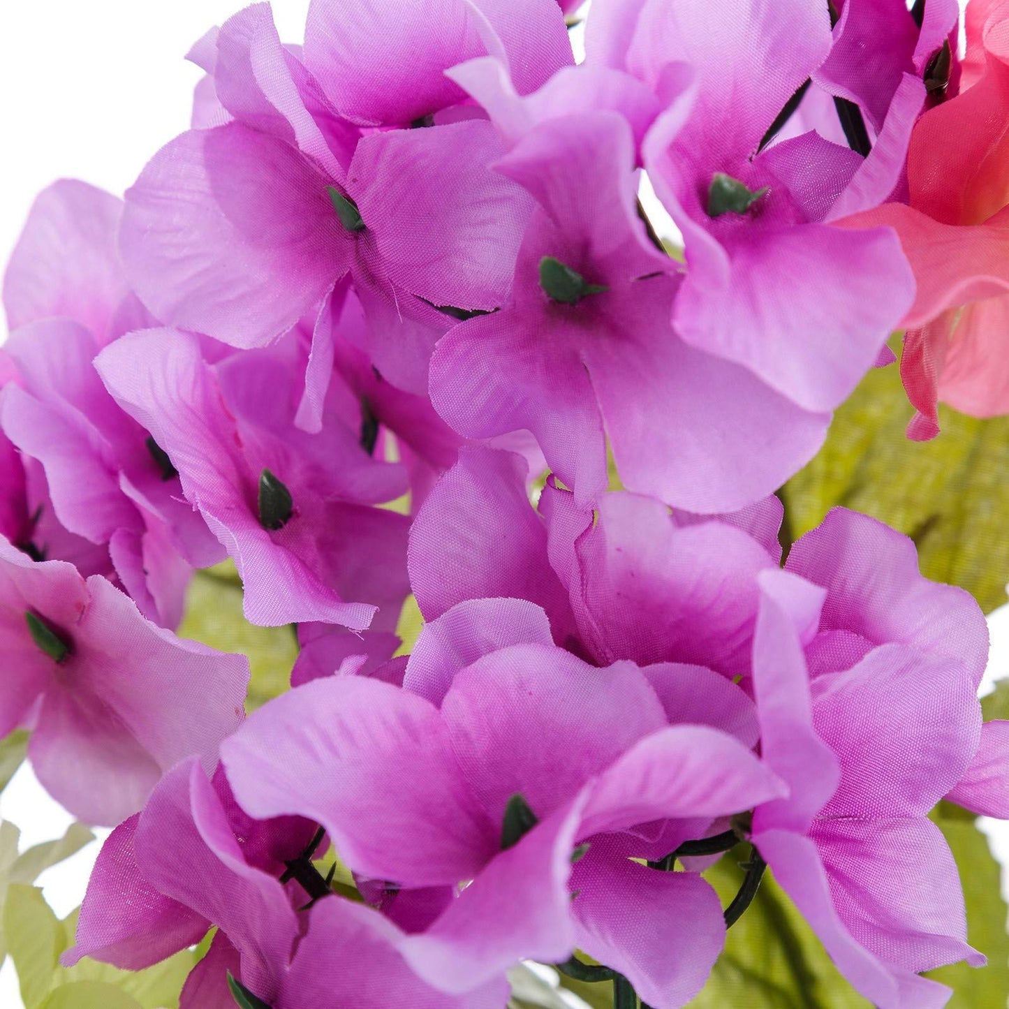 Pack 4 Planta Hortensia Decorada en Maceta 27 cm.